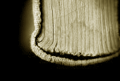 archives-1